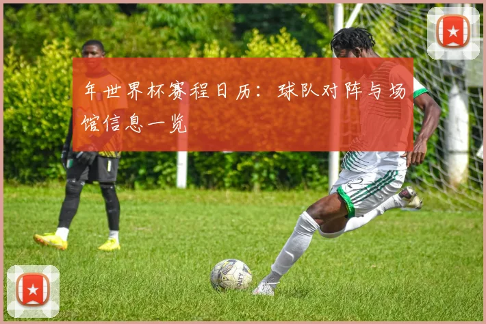 年世界杯赛程日历：球队对阵与场馆信息一览